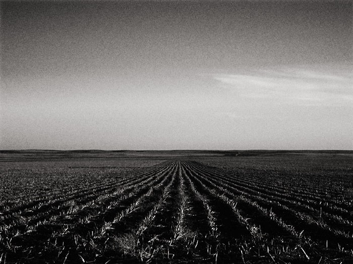 photo "Western Kansas Field" tags: landscape, spring