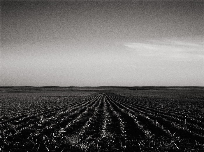 фото "Western Kansas Field" метки: пейзаж, весна