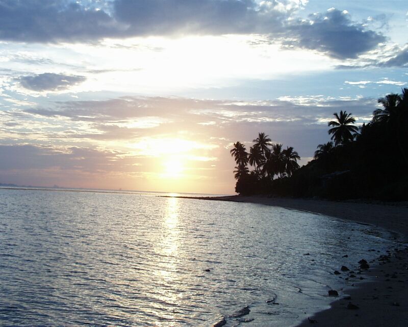 photo "Palms, sea and sunset" tags: landscape, summer