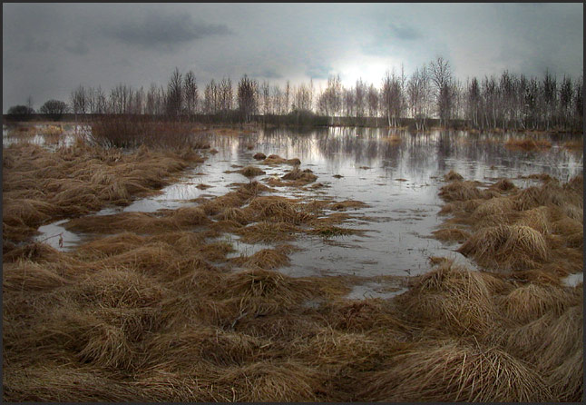 фото "Пейзажи Полесья. 1" метки: пейзаж, весна