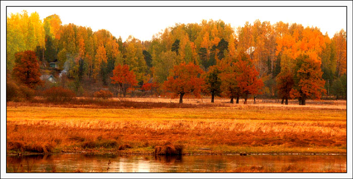 фото "Гаммы осени-3" метки: пейзаж, лес, осень