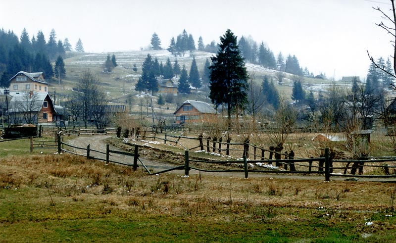 photo "Spring Begins" tags: misc., 