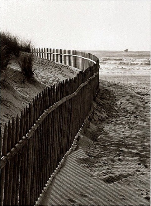 фото "the fence" метки: черно-белые, 