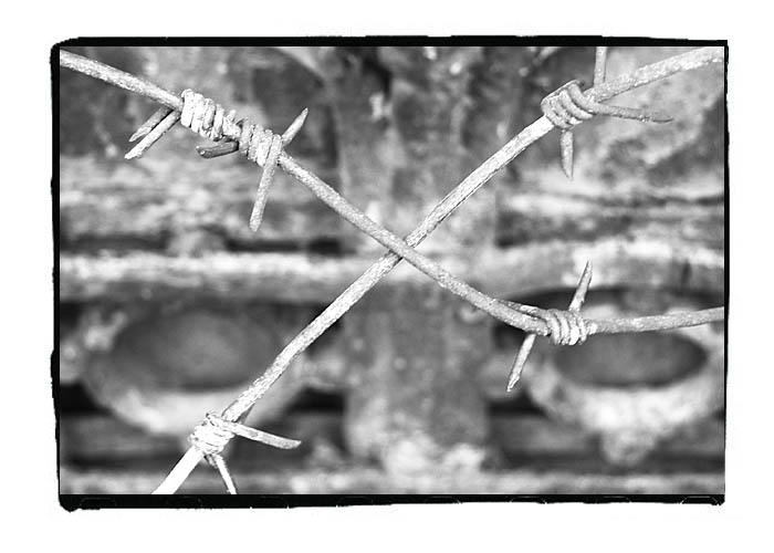 photo "] X [" tags: black&white, 