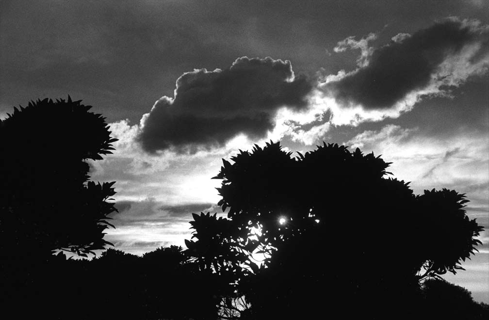 photo "Clouds echo" tags: black&white, landscape, clouds