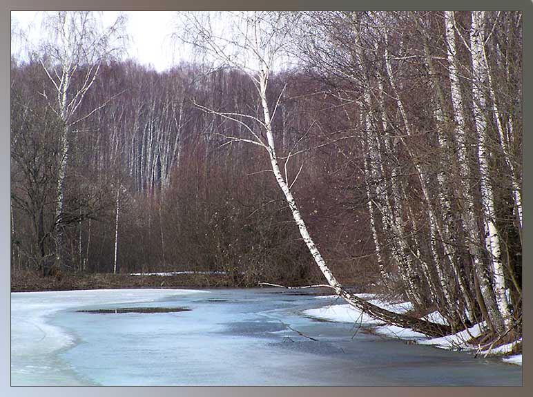 photo "April" tags: landscape, spring