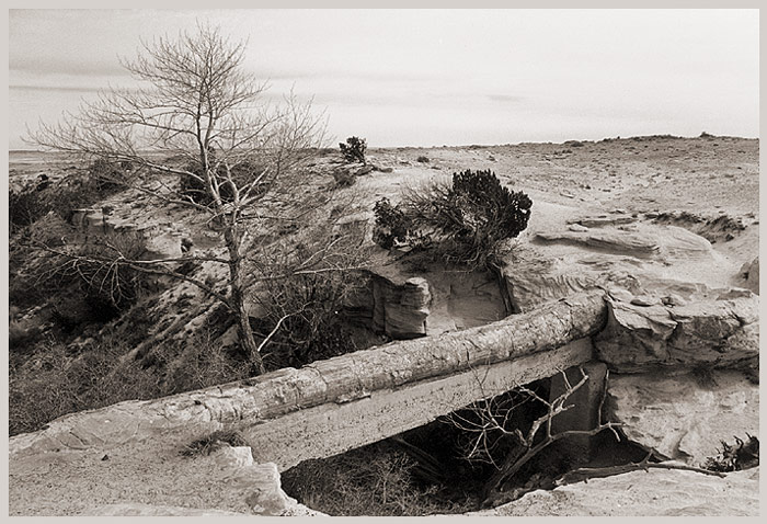 photo "Arizona. Agate bridge." tags: travel, landscape, North America