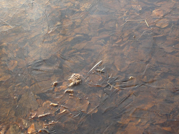 фото "О том, как замерзает вода" метки: пейзаж, весна, вода