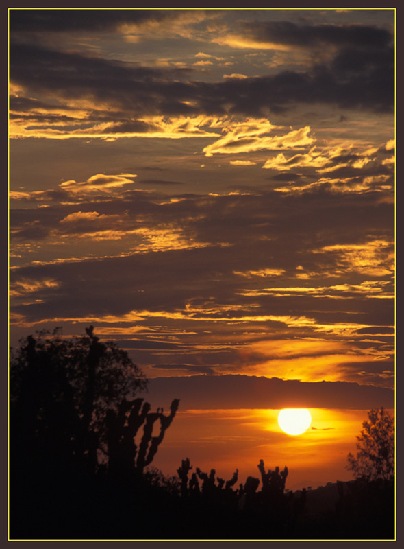 photo "Sambezi Sunset" tags: landscape, sunset