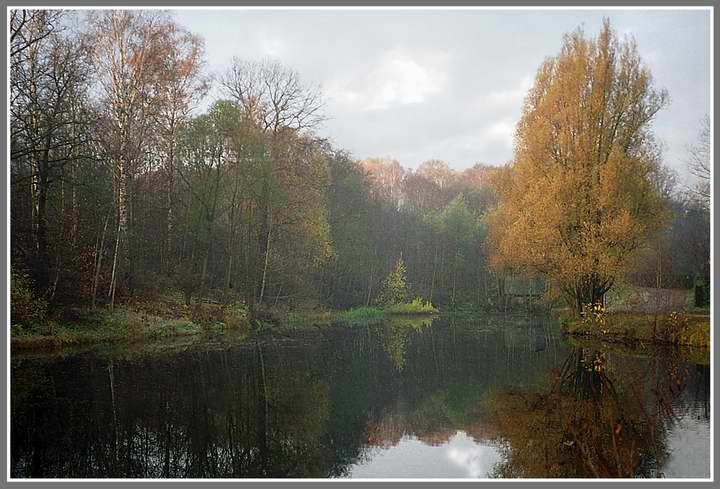 photo "Windless morning" tags: landscape, autumn, forest