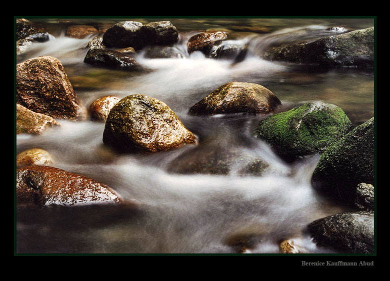 photo "Water Trail #2" tags: nature, 