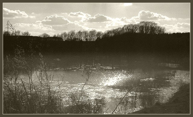 photo "It`s a little sun in dark water..." tags: landscape, spring, water