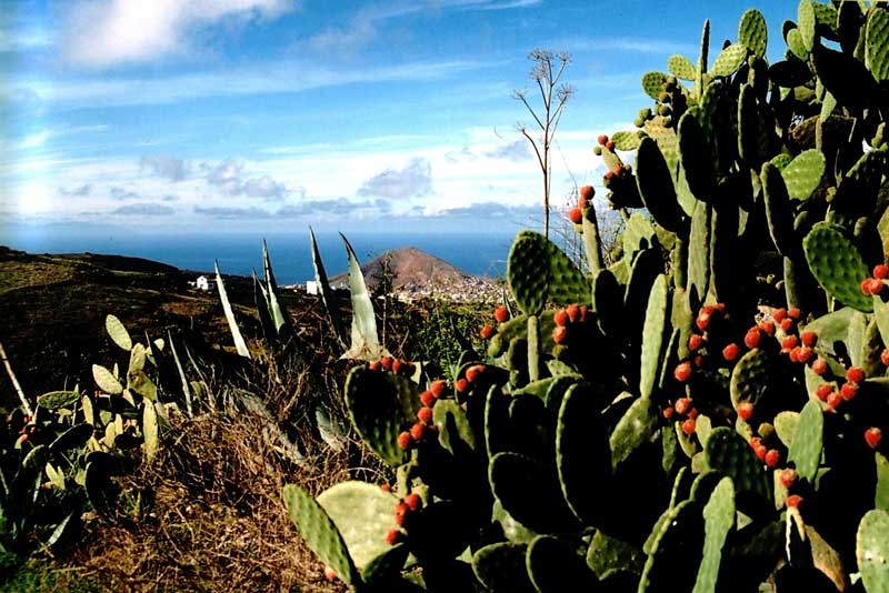 photo "Here Comes The Spring" tags: landscape, mountains, spring