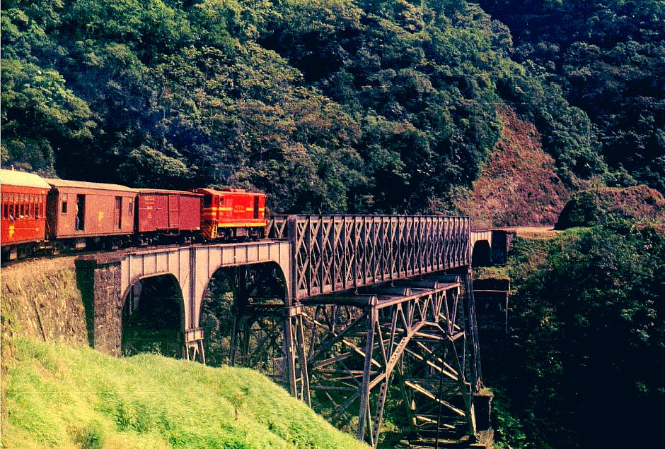 photo "Paranagua Railroad Bridge" tags: travel, landscape, South America, forest, railroad