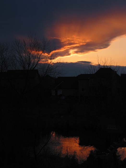 photo "suburban splendor" tags: landscape, night, sunset