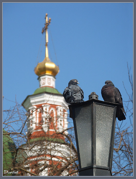 photo "Spring etude" tags: nature, architecture, landscape, wild animals