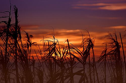 фото "Sunset" метки: пейзаж, закат