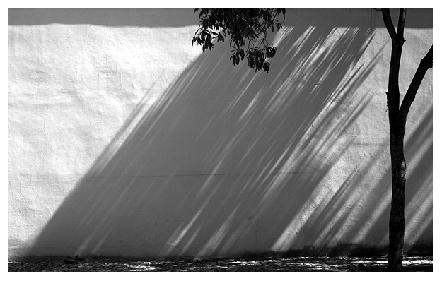 photo "Shadow" tags: architecture, black&white, landscape, 