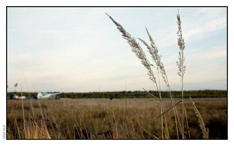 photo "еру expectation" tags: landscape, autumn