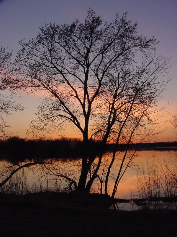 photo "Sunset on Pokegema Lake" tags: landscape, sunset, water
