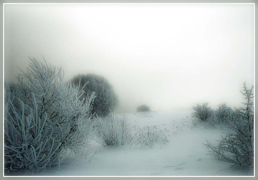 фото "Рассвет" метки: пейзаж, зима