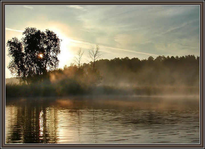 photo "The perch`s place" tags: landscape, summer, water