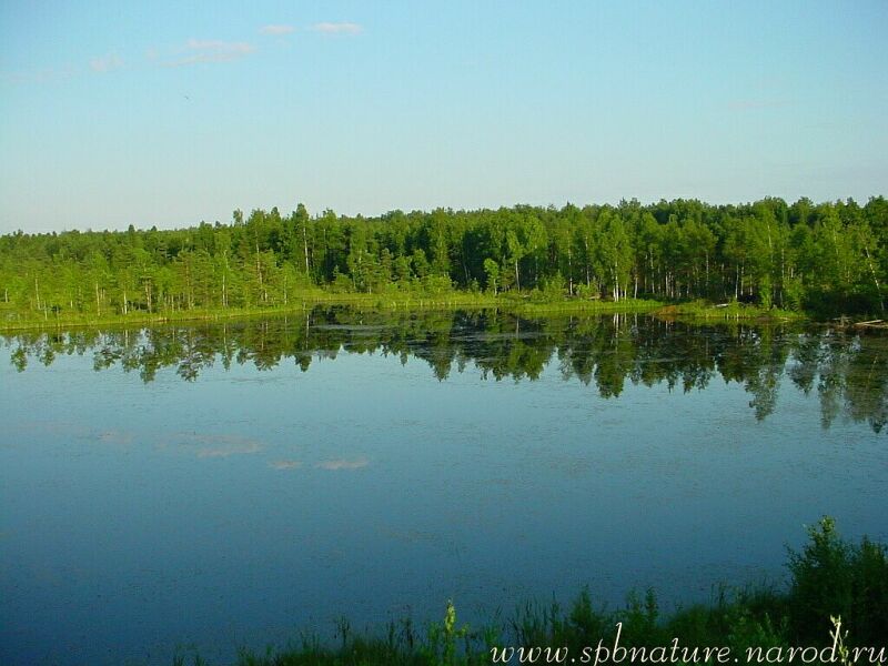 photo "Lake 2" tags: landscape, nature, water
