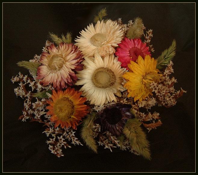 фото "бессмертники-2" метки: натюрморт, природа, цветы