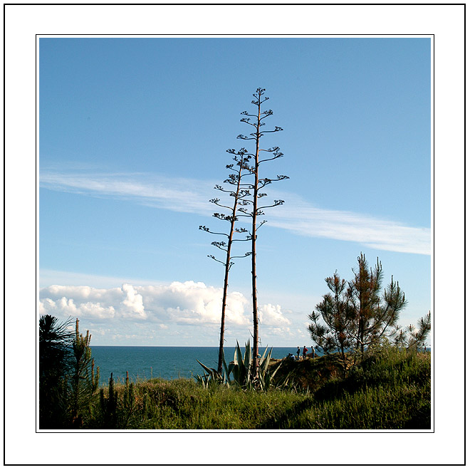 photo "Three Men looking the Giants" tags: landscape, spring