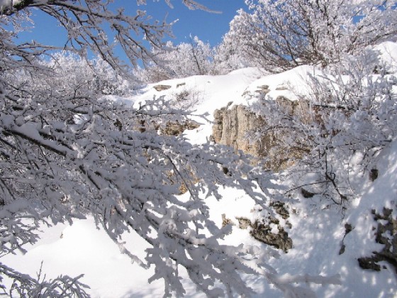фото "Зима" метки: пейзаж, зима