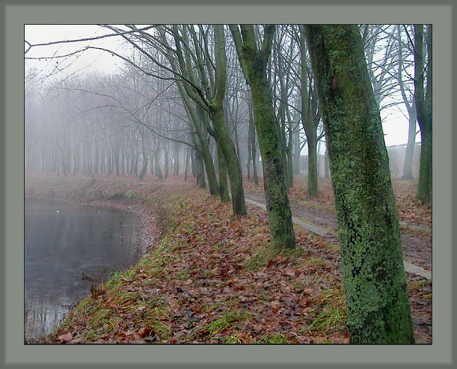 photo "At lake two - a fog and I" tags: landscape, autumn