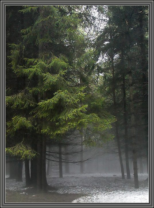 фото "Снег, дождь и туман" метки: пейзаж, весна