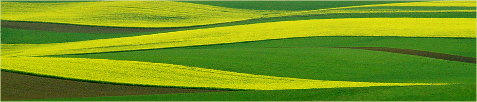 photo "Schoeneck in late spring" tags: landscape, spring