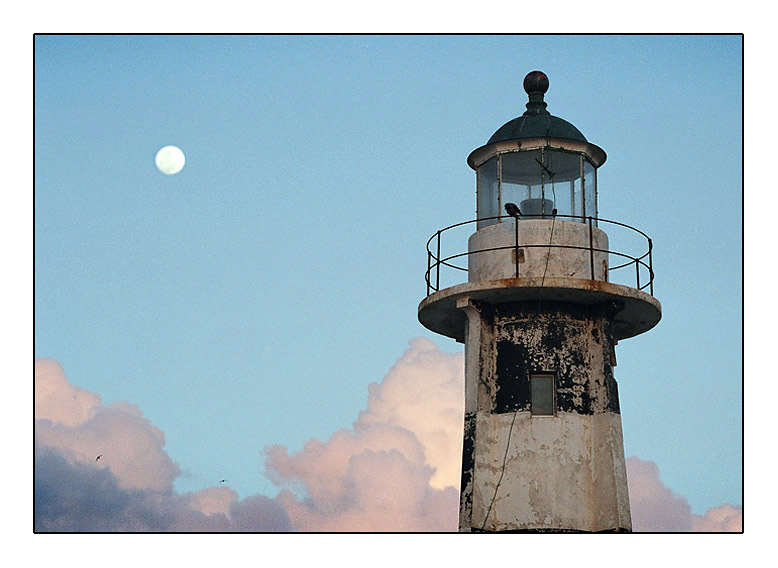 фото "Luna" метки: разное, 