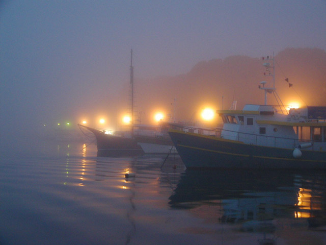 photo "Misty Ships" tags: landscape, night, water