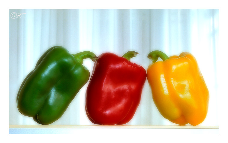 photo "original colors" tags: still life, 