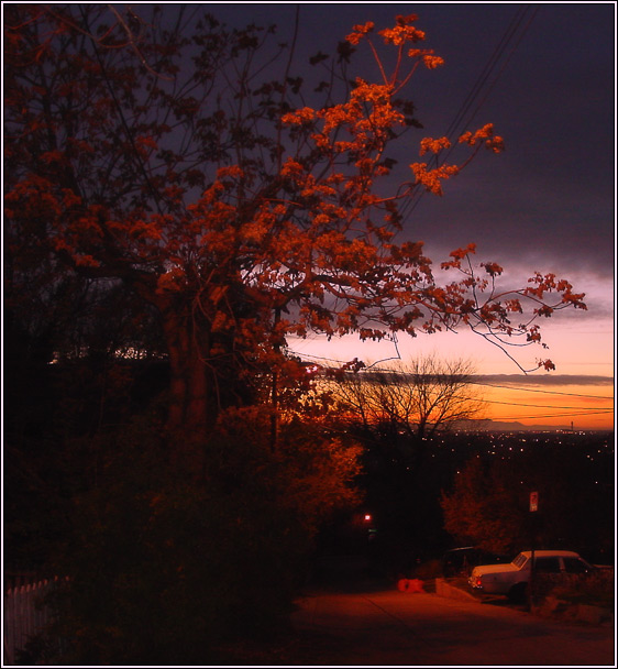 photo "On the Dark Street" tags: landscape, misc., sunset