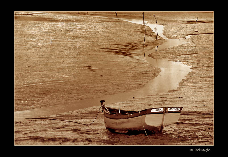 photo "Small River" tags: landscape, summer, water