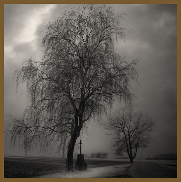 фото "winter tree" метки: пейзаж, облака