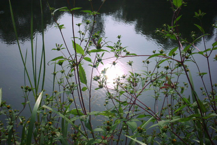 photo "Summer Blues" tags: landscape, summer, water