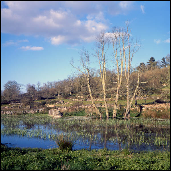 photo "Perfect Stillness" tags: landscape, spring