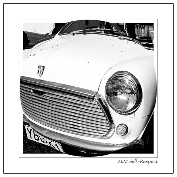 photo "MINI Self-Respect" tags: black&white, humor, 