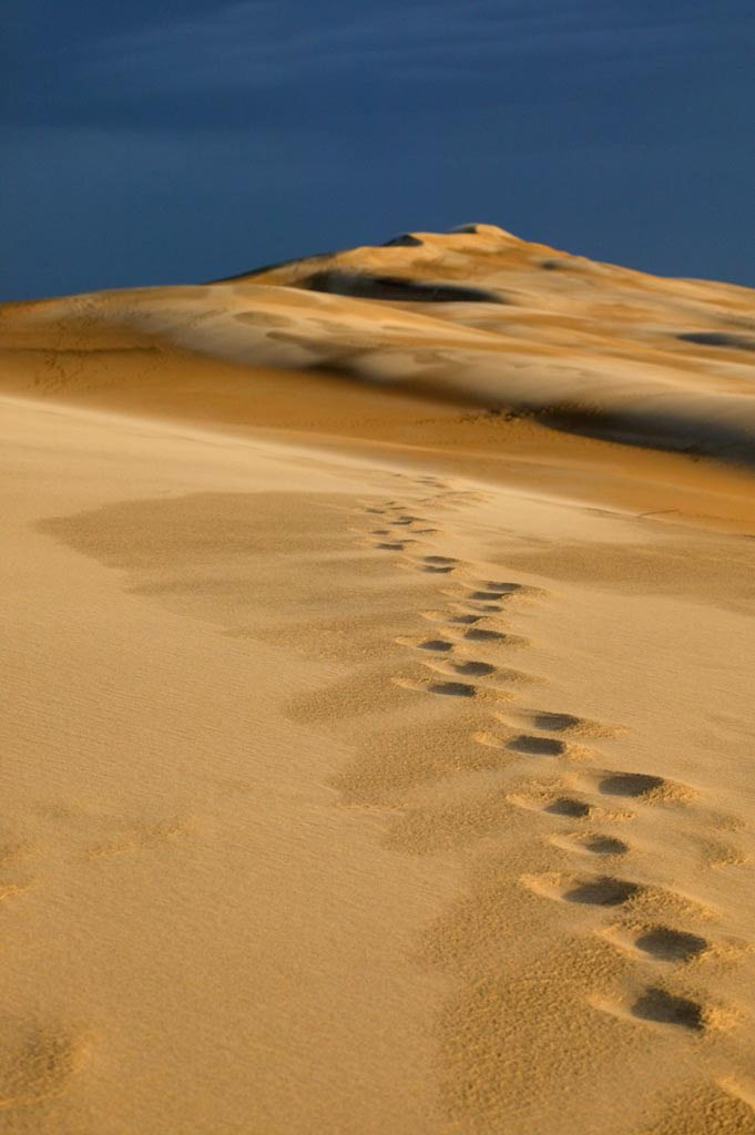 photo "footsteps in a sand dune after storm" tags: landscape, nature, 