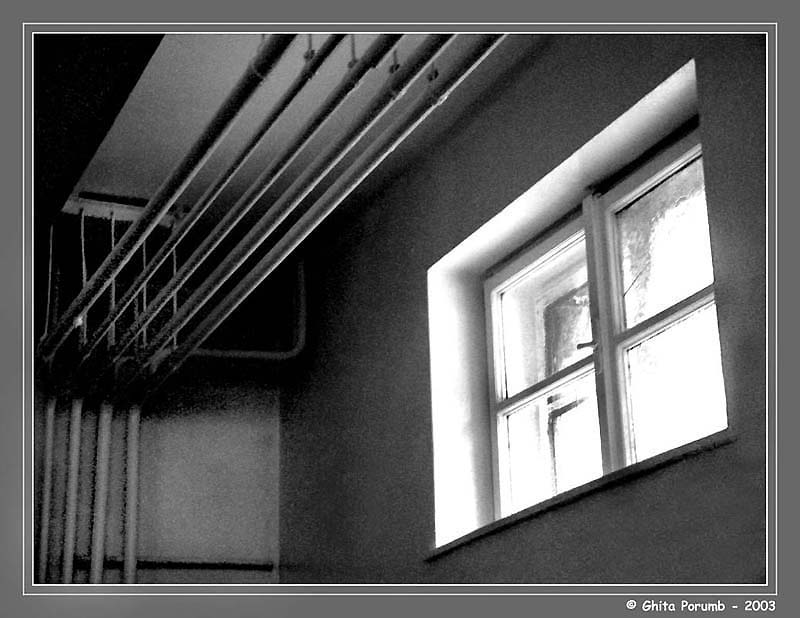 photo "Window" tags: black&white, 