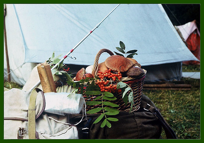 photo "REMINISCENCE ABOUT KARELIA" tags: travel, still life, 