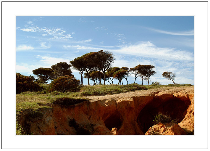 фото "The Love Storie of Caves and Trees" метки: пейзаж, путешествия, Европа, весна