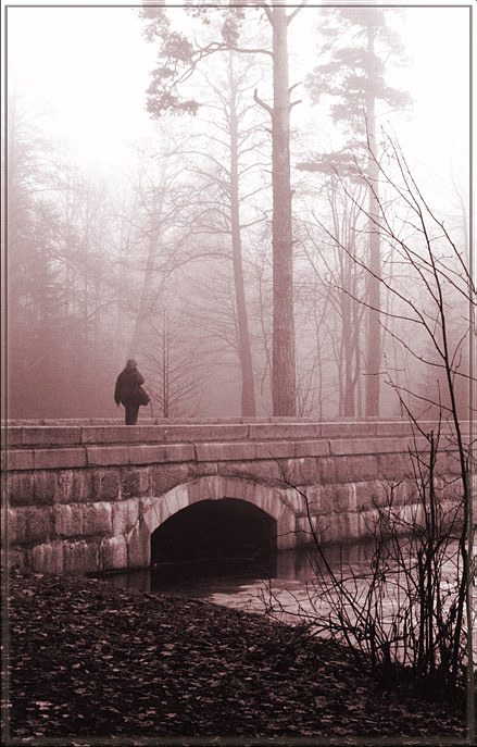 фото "through a fog" метки: пейзаж, черно-белые, 