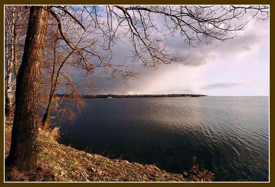 photo "Evening study" tags: landscape, spring, water