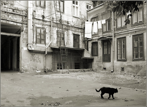 фото "Кошки старой Одессы" метки: архитектура, жанр, пейзаж, 