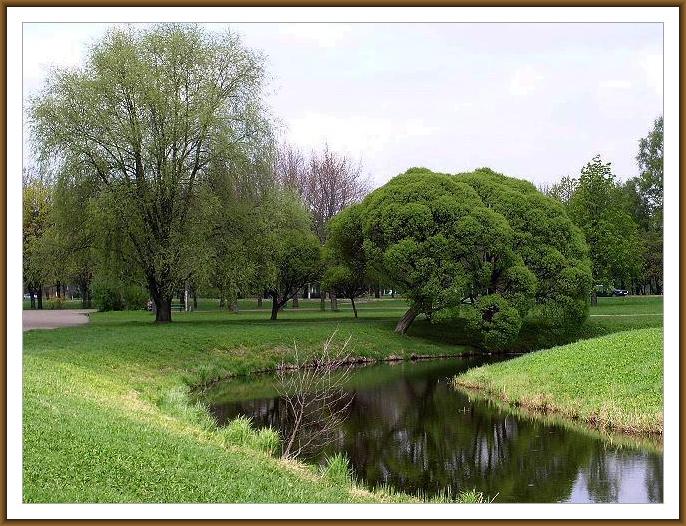photo "Spring etude - 3." tags: landscape, spring